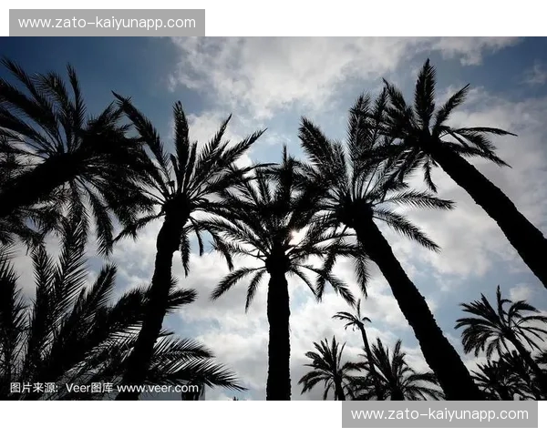 绿荫深处的棕榈之魂：当“埃尔切vs”成为一种信仰的博弈